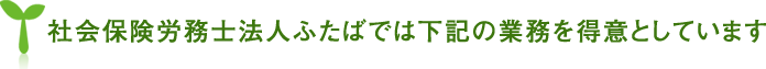 社会保険労務士法人ふたばでは下記の業務を得意としています